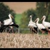 20080822_059